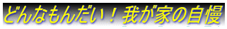 ǂȂ񂾂I䂪Ƃ̎